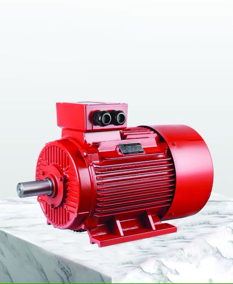 Electric fire pump with electric motor